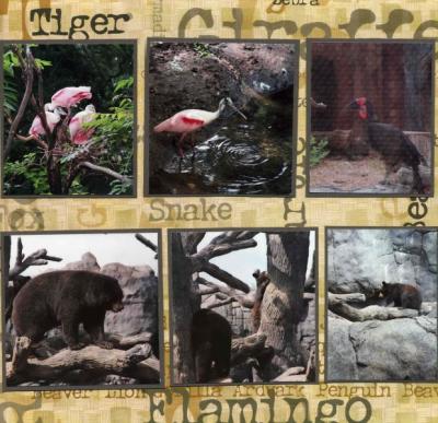 Knoxville Zoo  (page 6 of 6)
