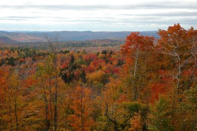 NewEngland2004_0012.jpg