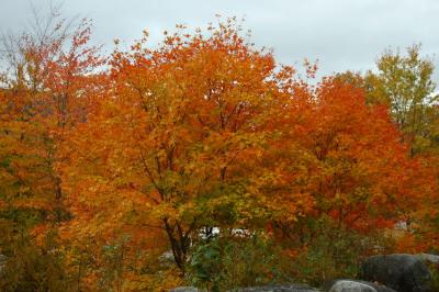 NewEngland2004_0037.jpg
