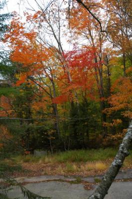 NewEngland2004_0044.jpg
