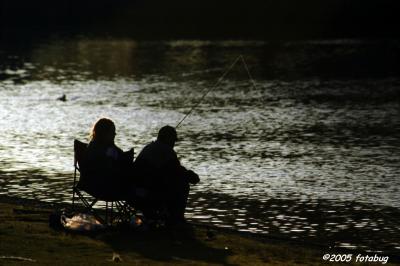 Fishing in silhouette