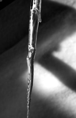 u48/fz10group/medium/35517560.Ice.jpg