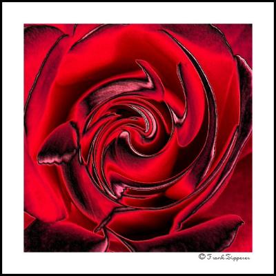 Rose Abstract (LE32)