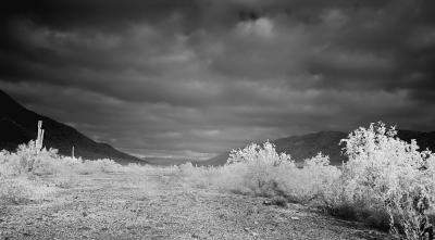 Valley Clouds