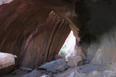 CRW_5918.jpg