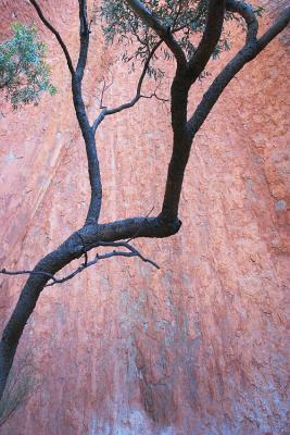 CRW_5920.jpg