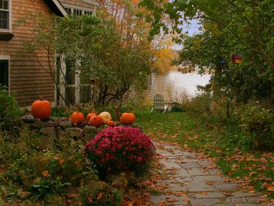 Path to the river