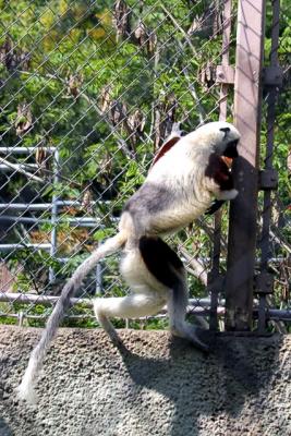 IMG_3841w.jpg