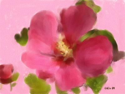 u48/goldcoin/medium/36949006.pink_hibiscus_1painter9web.jpg
