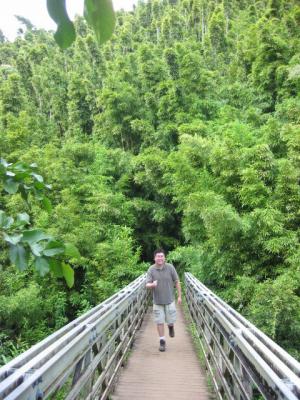 u48/grasshopper216/medium/36995906.BambooForest1.jpg