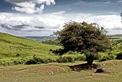 Across Dartmoor 15x.jpg