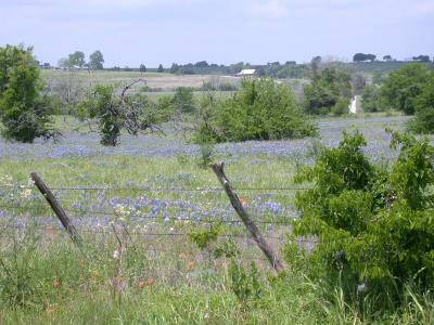 DSCN3373.JPG