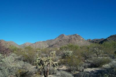 Tortolita Mountain Range