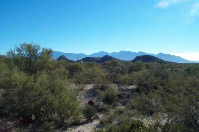 Tortolita Mountain Range