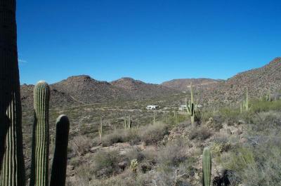 Views from Tortolita Mountain Range