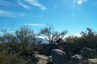 Tortolita Mountain Range