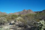 Tortolita Mountain Range