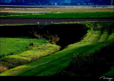 colour France