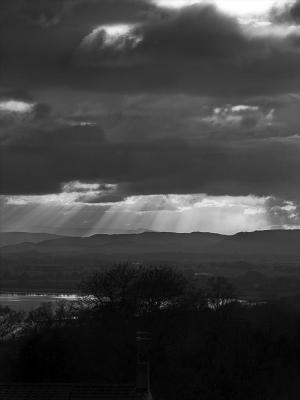 u48/gwiz/medium/40071045.RaysofLight.jpg