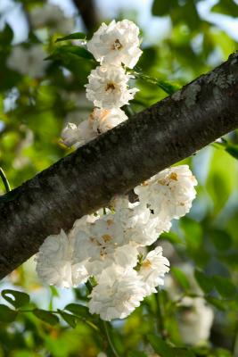 crw_5422.jpg