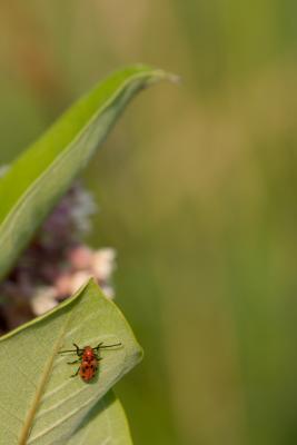 CRW_5811.jpg