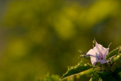 CRW_5839.jpg