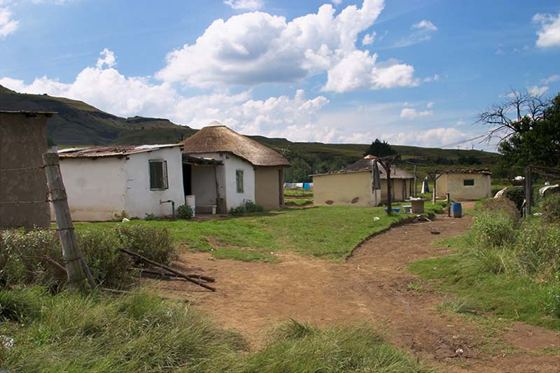 Zulu Homestead