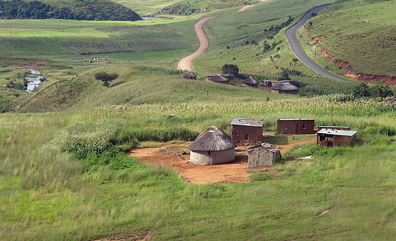 Zulu Homesteads