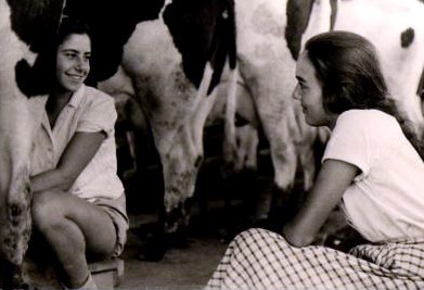 במגן - 1953 - ברפת,  כושי ורינה הירשפלד