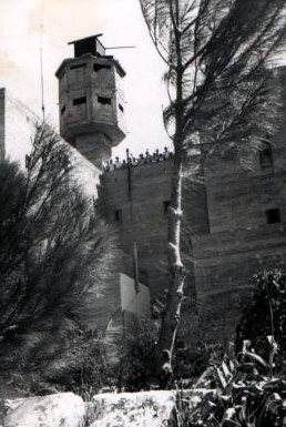 טיול לגליל - 1953 - על גג מצודת כח' = נבי יושע