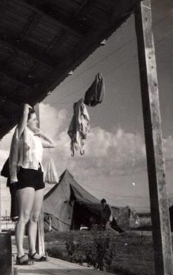 במגן - 1953 - בקר טוב