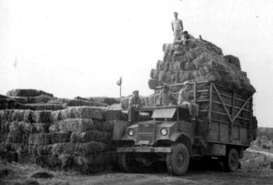 מ. ע. ברוחמה - 1952 - פריקת משאית קש