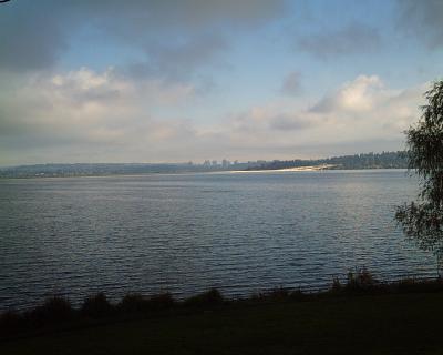 Lake Washington in the sun