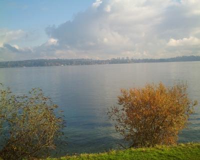 More Lake Washington from the course