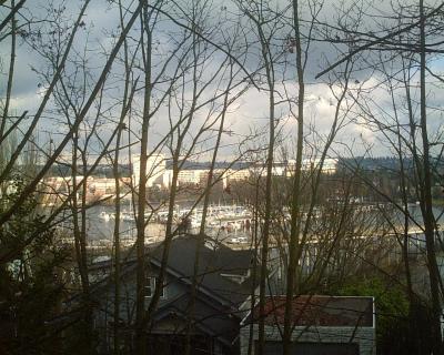 Looking across the ship channel from the park to U. W. (Stadium roof on the right)