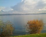 More Lake Washington from the course