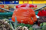 Market and giant pumpkin