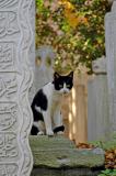 Night Watchman, Ottoman cemetery