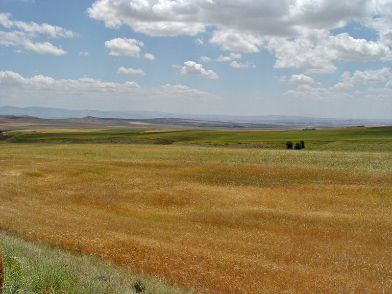 Central Anatolia