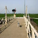 Joop's Dog Log - Wednesday June 30