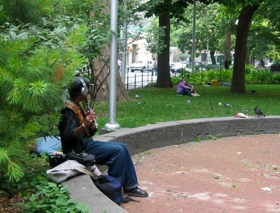 Flute Serenade on a Hot Humid Day