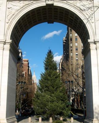 Christmas Tree at the Washington Square Arch Just Arrived
