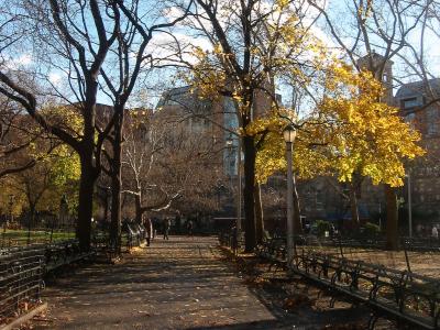 View from Northwest Corner Towards NYU Student Affairs and Library Buildings