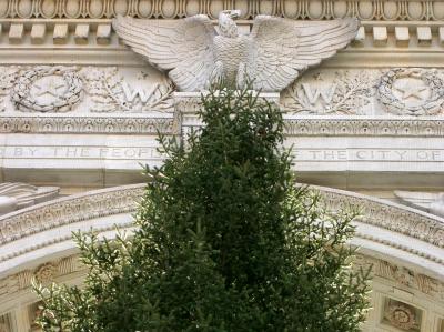 Washington Square Arch - Eagle & Christmas Tree Top