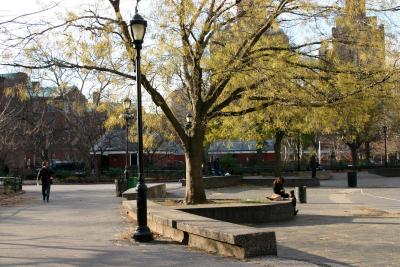 Pagoda Tree and the Western Horizon