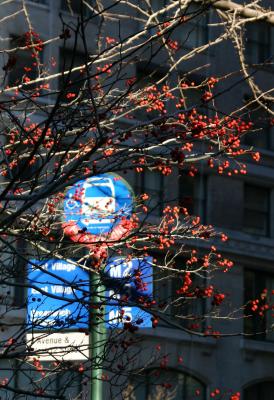 Bus Stop at Fifth Avenue and 12th Street