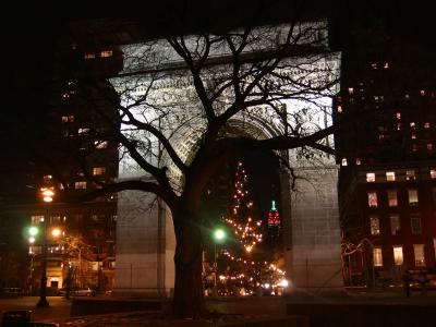 Arch with Christmas Tree at Night