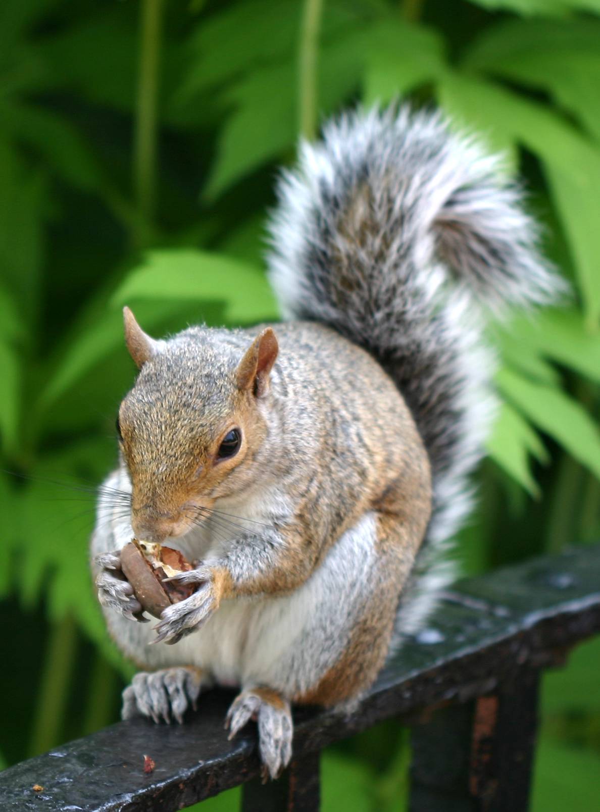 Snacking