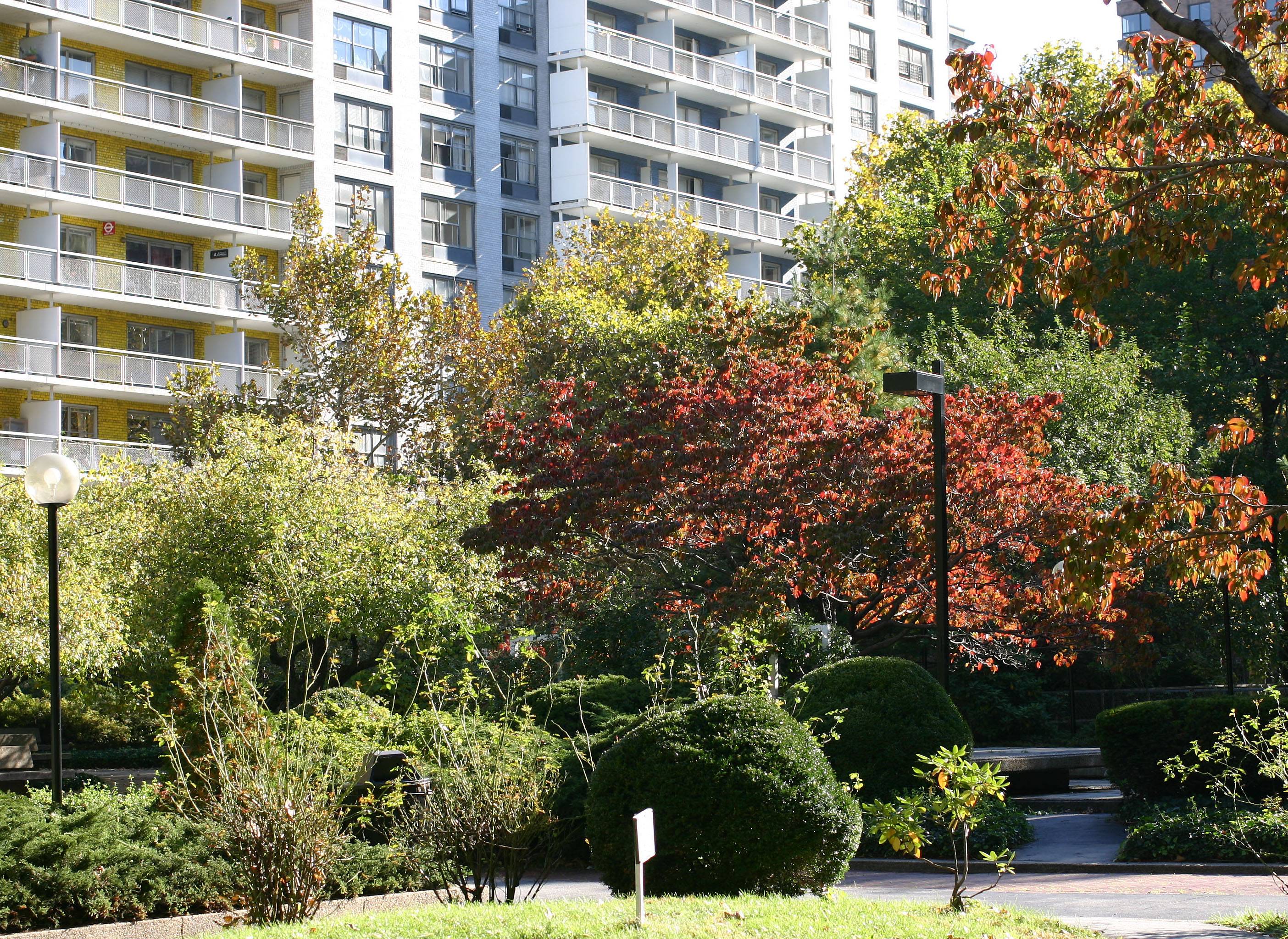 Washington Square Village Garden