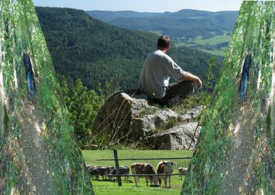 looking for Heidi